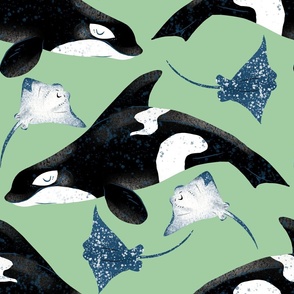 Orcas and Rays on Green - Cheerful Ocean Creatures Coordinate - Large