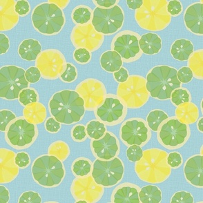 Lemon and lime slices on blue - smaller