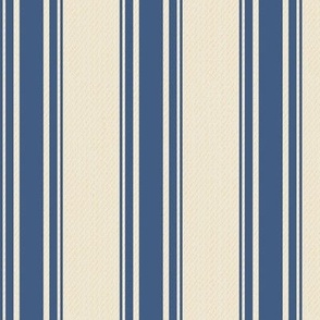 Ticking Stripe (Medium) - Blue Ridge Denim Blue on Panna Cotta Cream  (TBS211)