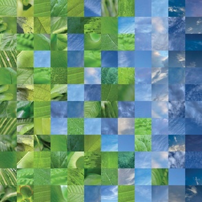 Sky Leaf Photo Mosaic - Large Size - Nature Photography - Blue Green
