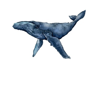 Great Blue Whale