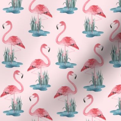 Flamingo Pink