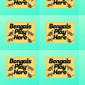 Bengals Play Here