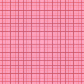 Graph Paper | Lg Tangy Red on Hot Pink