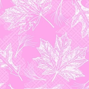 Fall Oak and Maple Leaf Prints in White on Light Jam Pink Texture