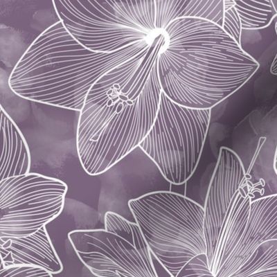 Amaryllis Belladonna Lily Line Drawing, White on Smoke Purple