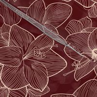 Amaryllis Belladonna Lily Line Drawing, Ivory on Oxblood Red