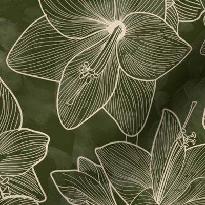 Amaryllis Belladonna Lily Line Drawings Ivory on Sap Green