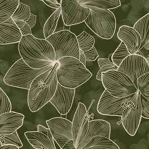 Amaryllis Belladonna Lily Line Drawings Ivory on Sap Green