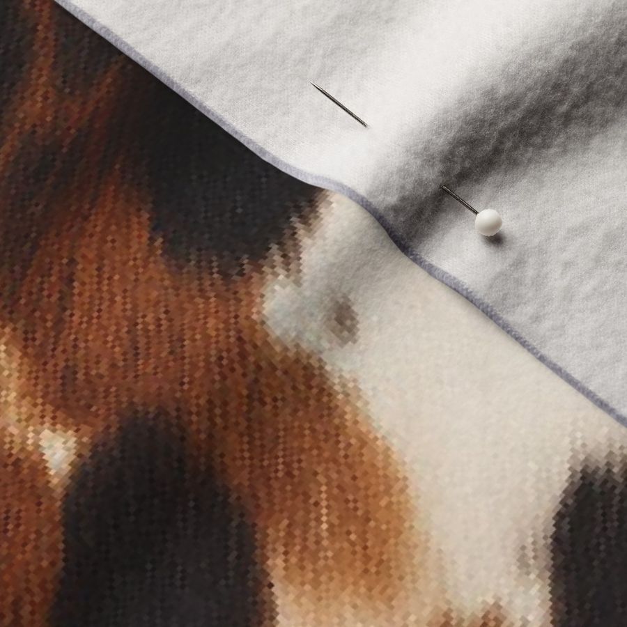 Exotic Spotted Longhorn Cattle Hide Cow Print