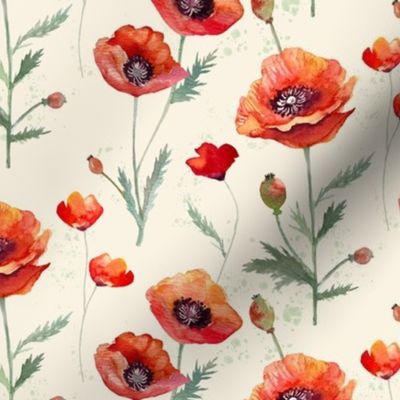 Red Oriental Poppies on Cream