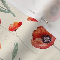 Red Oriental Poppies on Cream