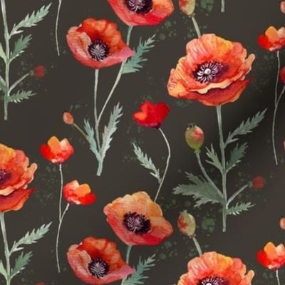 Oriental Red Poppies on Sepia Brown