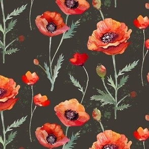 Oriental Red Poppies on Sepia Brown