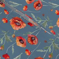 Oriental Poppies Watercolor on Thundercloud Blue
