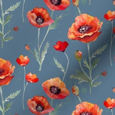 Oriental Poppies Watercolor on Thundercloud Blue