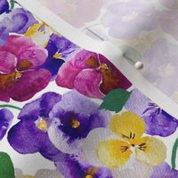 Pansy Blossoms, Purple and Yellow on White