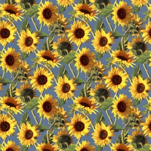 Sunflowers on Light Blue Small Print