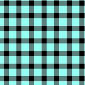 96fff3 ice blue and black plaid large scale