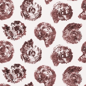 Ammonite Red Brown