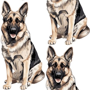 german shepard