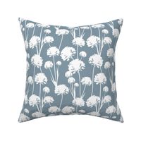 White airy dandelions. Meadow wild flowers silhouettes on a dark background