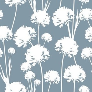 White airy dandelions. Meadow wild flowers silhouettes on a dark background