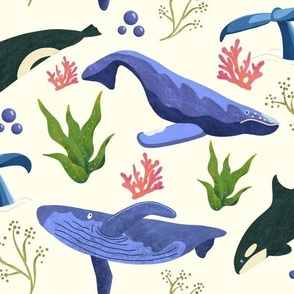 Whale party