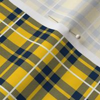 Smaller Scale Team Spirit Football Plaid in University of Michigan Wolverines Colors Maize Yellow and Blue