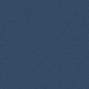 Blueberry - soft navy blue solid