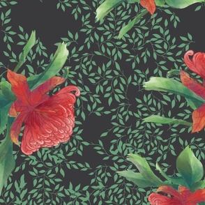 Midnight Black Waratah Ruby Red Wandering Flowers & Emerald Green Leaves Australian Botanicals