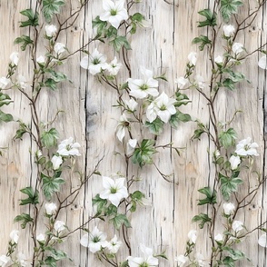 White Morning Glory Flowers on Wooden Boards Distressed Farmhouse Country  Wallpaper Mural Barn  