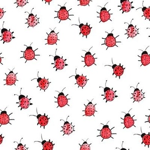Watercolor hand drawn cute doodle ladybugs insects  on white background.