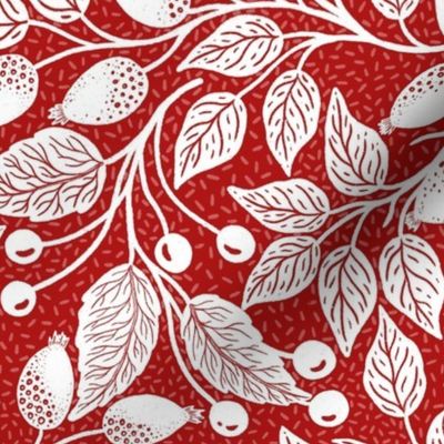 Christmas vintage red rose hip and leaves - Christmas berries - textured white background L scale