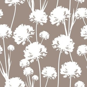 White airy dandelions on a brown background 
