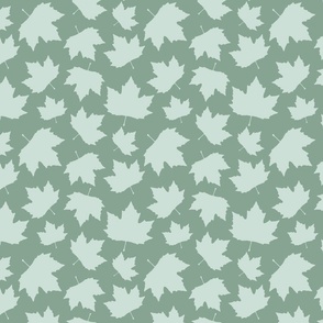 SAGE GREEN SYCAMORE LEAVES FOLIAGE 