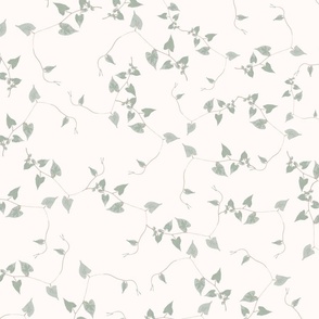 Botanical Watercolor of Ivy Vines on Ivory White