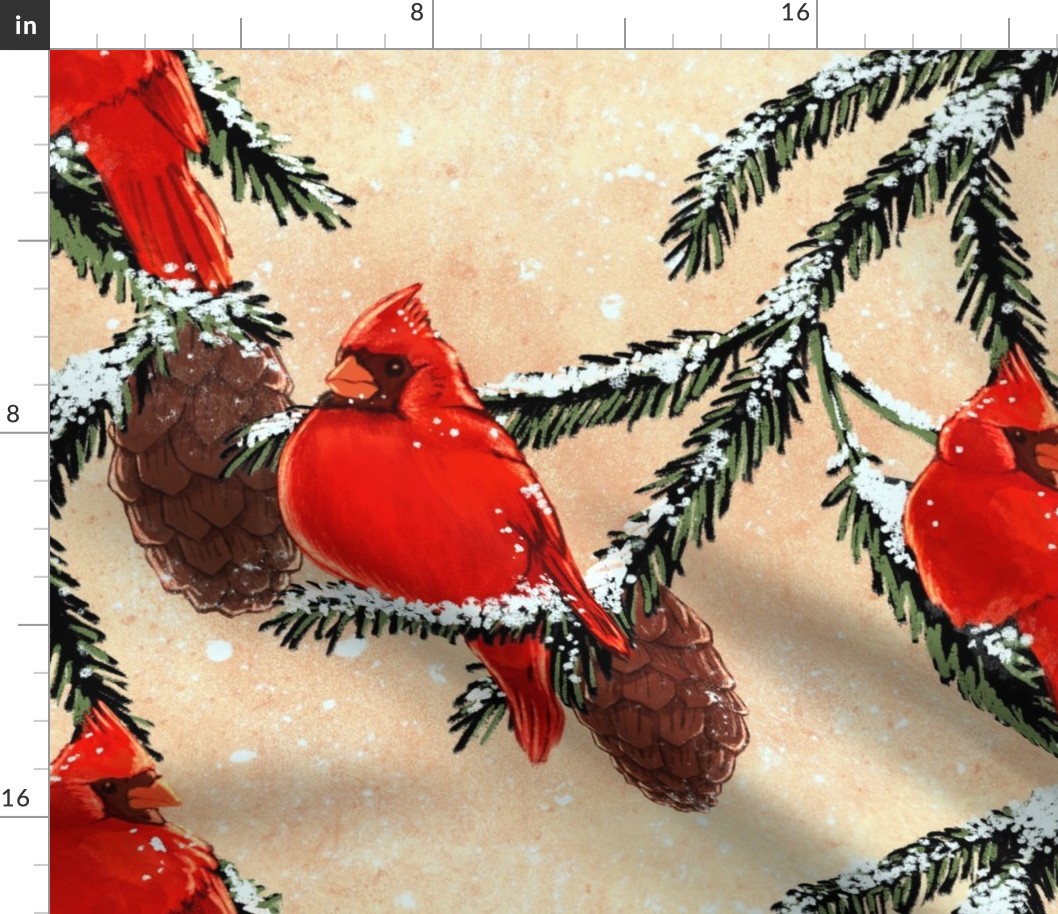 winter red cardinals bird twig pine cones 