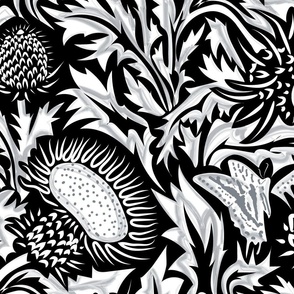 Regal Thistle- Dancing Weeds- Black and White- Monochrome- Large Scale