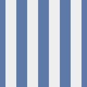 French blue and ivory stripe