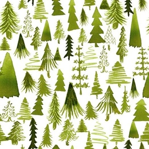 Evergreen Forest - Olive