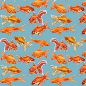 Goldfish on blue