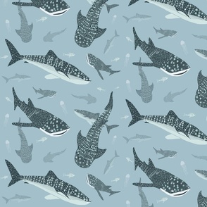 Whale Sharks Swimming Small Scale