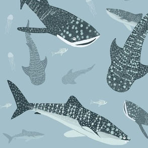 Whale Sharks Swimming Large Scale