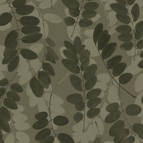 locust_leaves_ironside_olive
