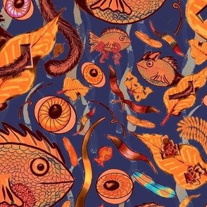 Orange Dogfish Eyefish and FishCat on grey Blue