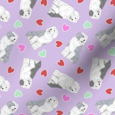 Tiny Old English Sheepdog - Valentine hearts