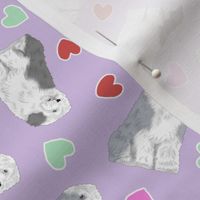 Tiny Old English Sheepdog - Valentine hearts