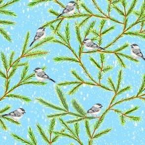 Hand Drawn Mountain Chickadees in Winter Snow Storm on Pine Trees in Large Scale
