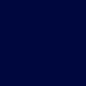Plain NIGHT BLUE solid color block wallpaper || 01073b